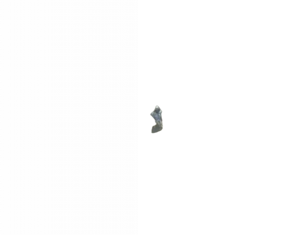 110608-00116 110608-00116